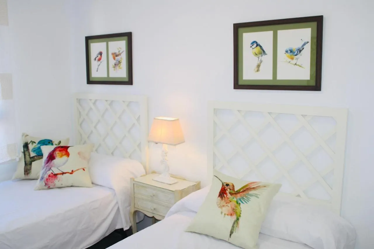 Nuevo Apartamento En Pleno Centro Apartment Cordoba Spain