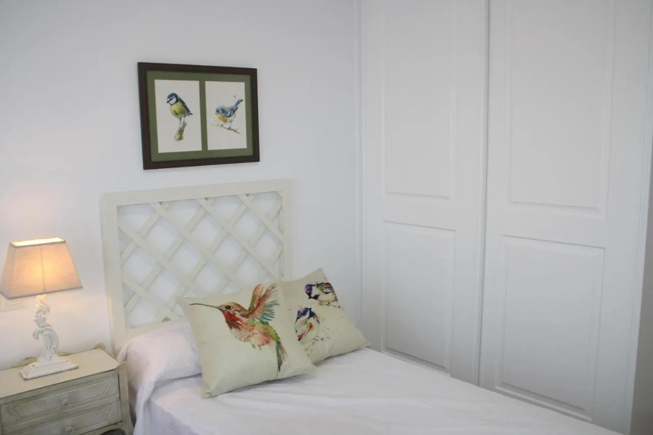 Nuevo Apartamento En Pleno Centro Cordoba
