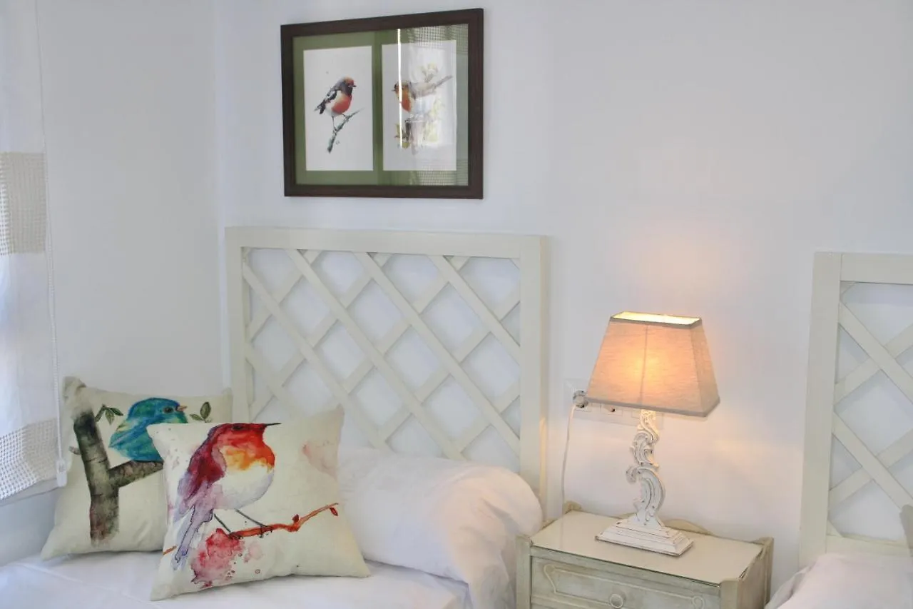 Nuevo Apartamento En Pleno Centro Apartment Cordoba Spain